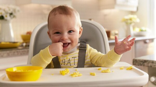 How Many Eggs Can A Baby Eat In A Day